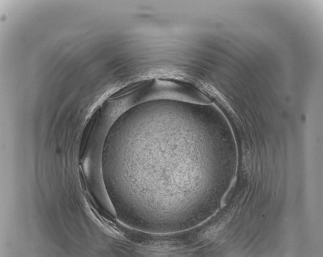 X0000065260530200602211252