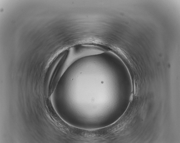 X0000065260531200602211252