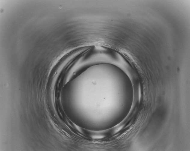 X0000065260532200602211252