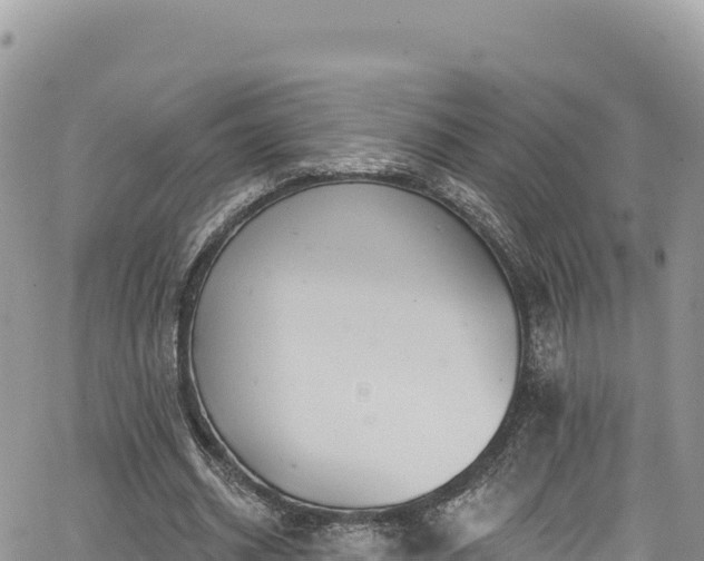 X0000065260534200602211252