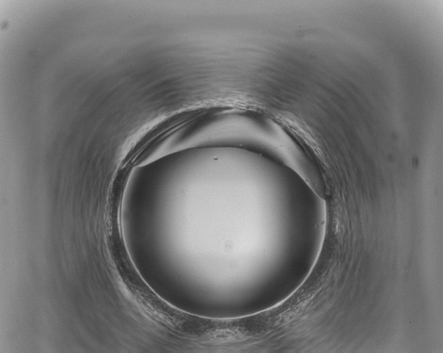 X0000065260536200602211252