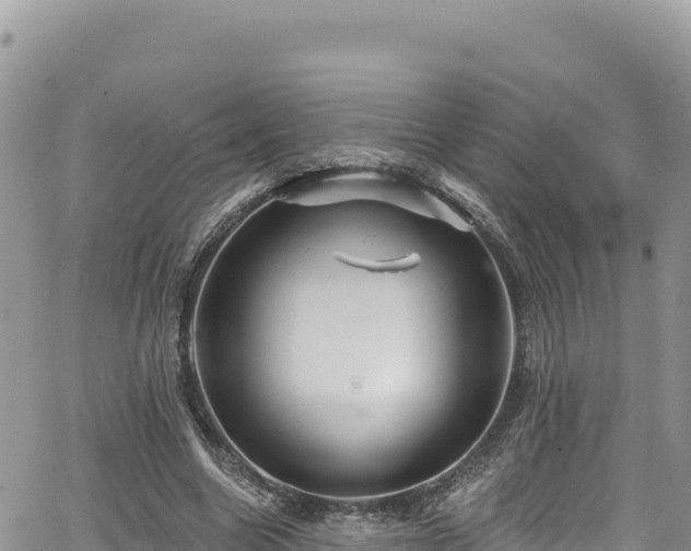 X0000065260538200602211252