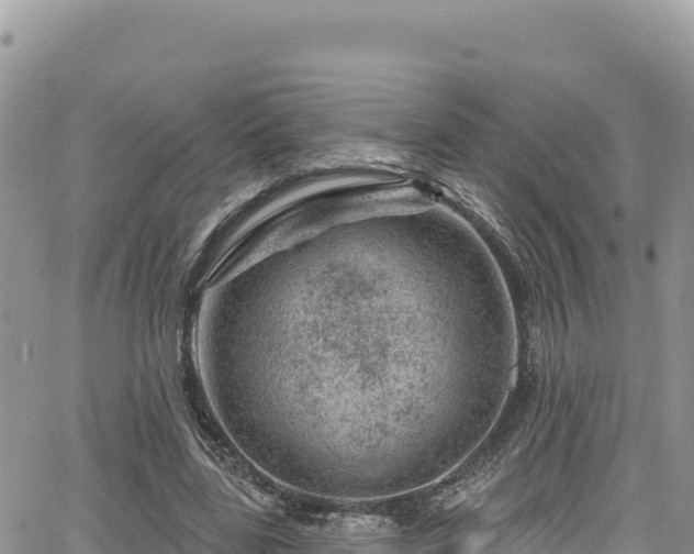 X0000065260539200602211252