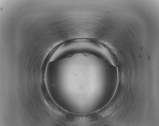 X0000065260540200602211252