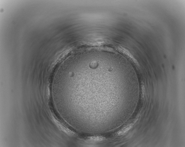 X0000065260541200602211252