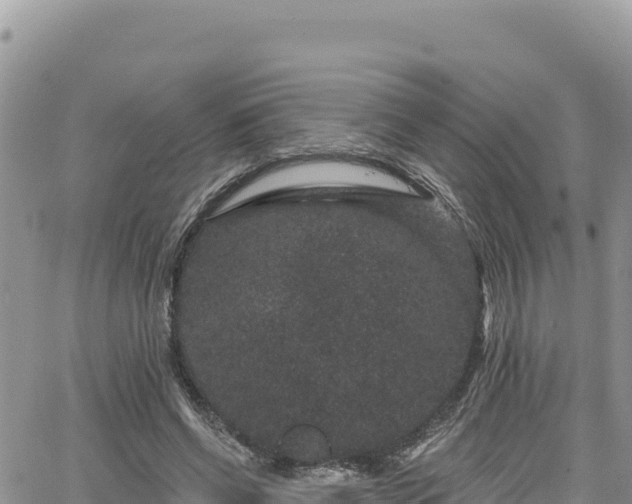 X0000065260542200602211252