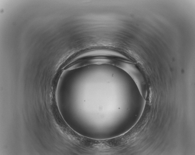 X0000065260544200602211252