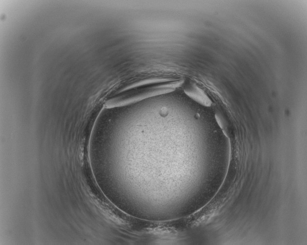 X0000065260545200602211252