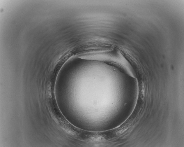 X0000065260547200602211252