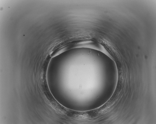 X0000065260548200602211252