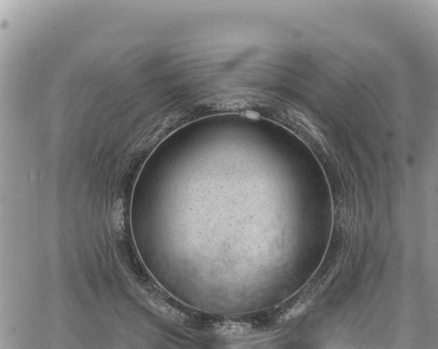 X0000065260549200602211252