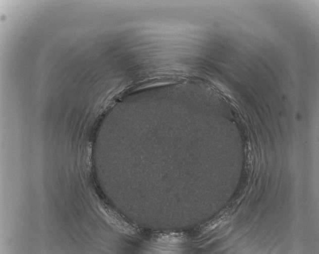 X0000065260550200602211252