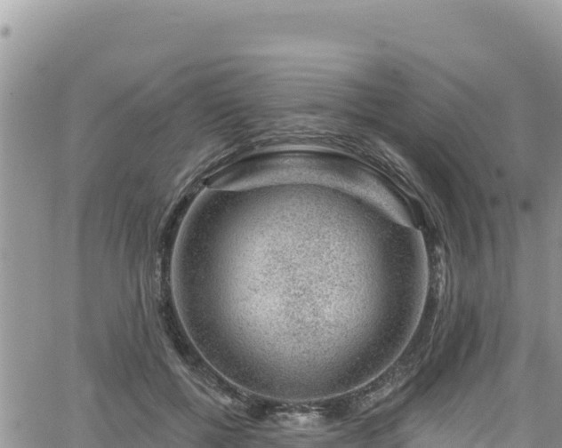 X0000065260552200602211252