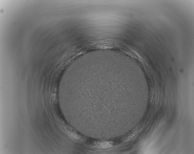 X0000065260553200602211252