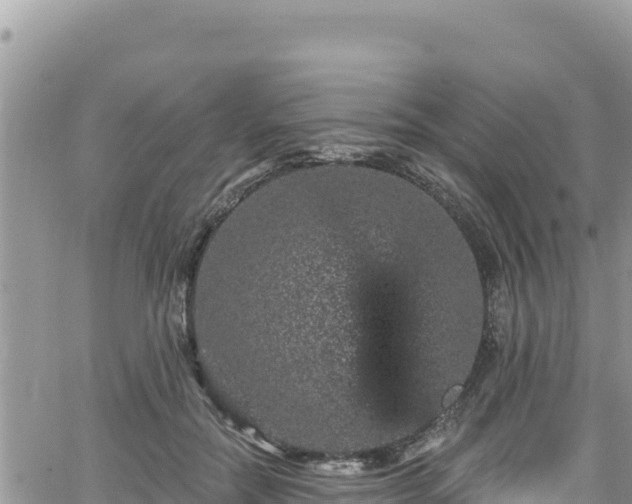 X0000065260554200602211252