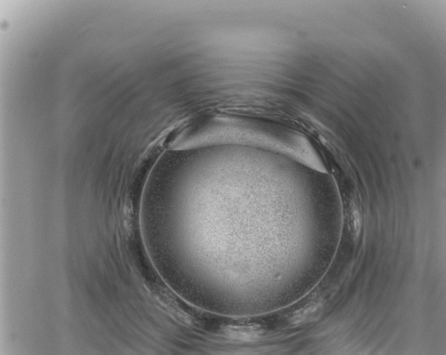 X0000065260556200602211252