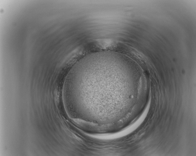 X0000065260558200602211252