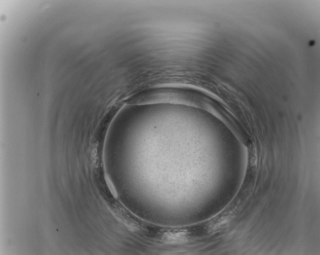 X0000065260560200602211253