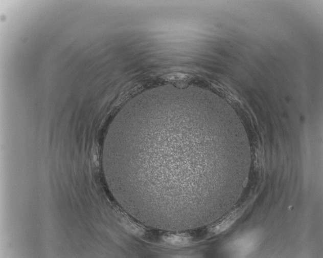 X0000065260561200602211253