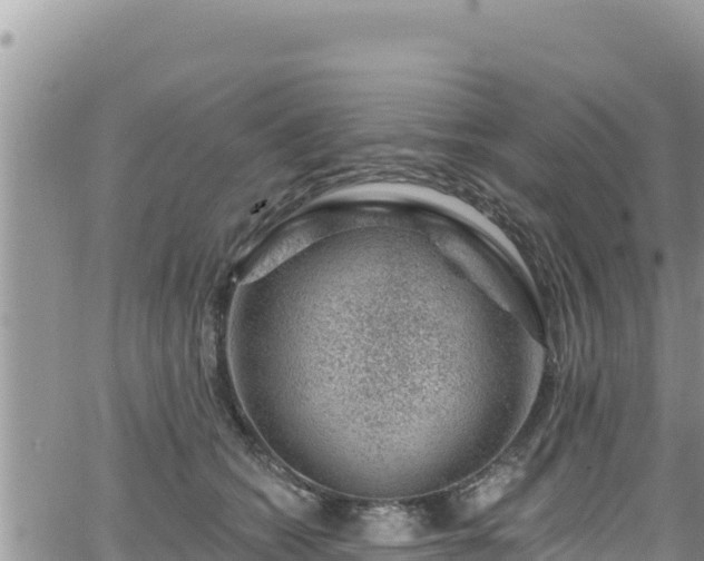 X0000065260562200602211253