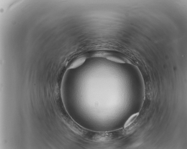 X0000065260563200602211253