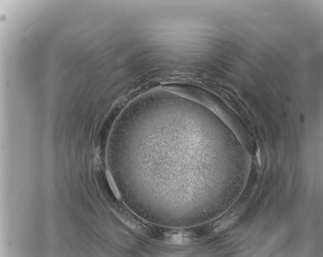 X0000065260564200602211253