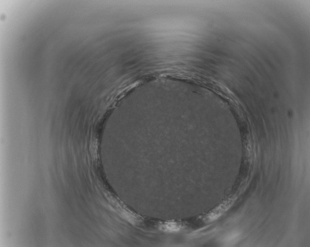 X0000065260565200602211253