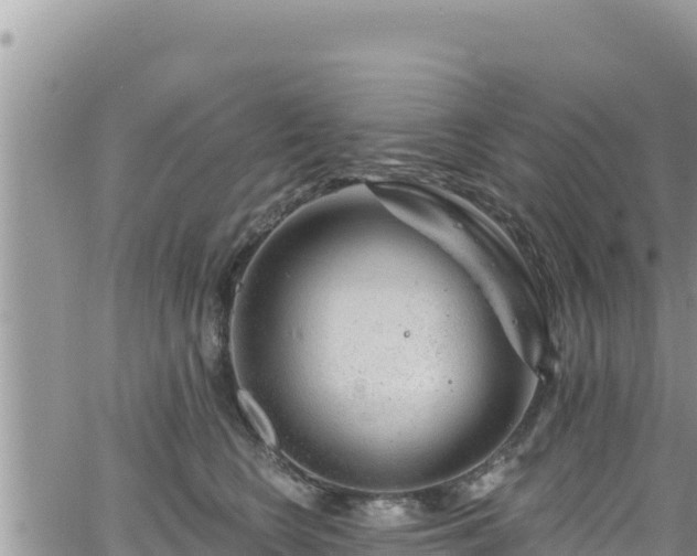 X0000065260566200602211253