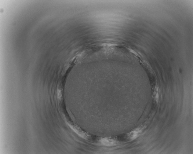 X0000065260568200602211253