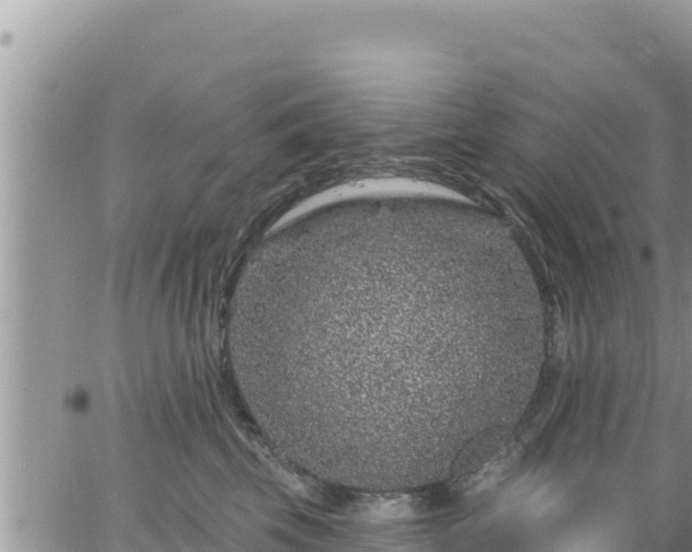 X0000065260569200602211253