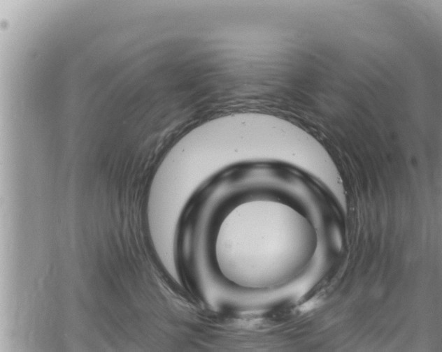 X0000065260570200602211253