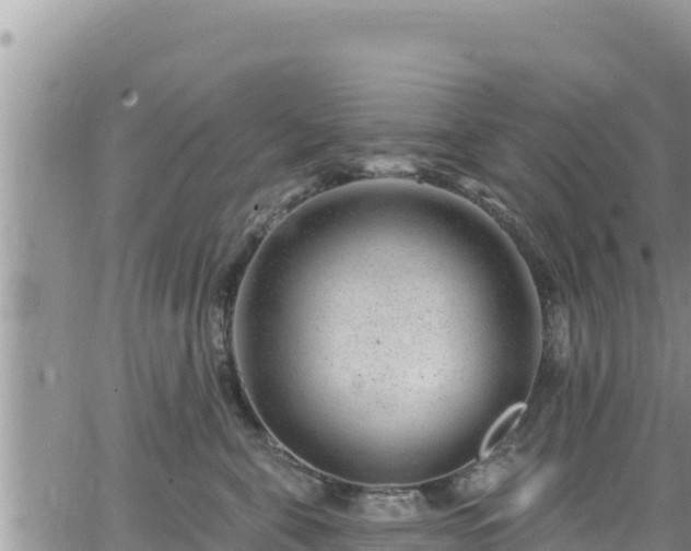 X0000065260571200602211253