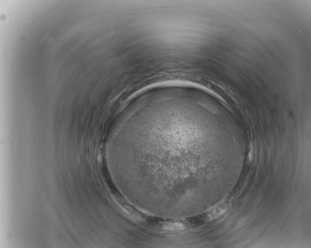 X0000065260572200602211253