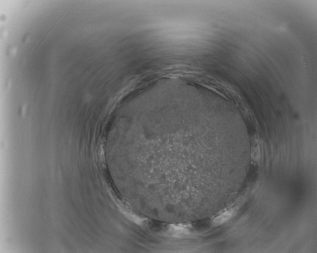 X0000065260573200602211253