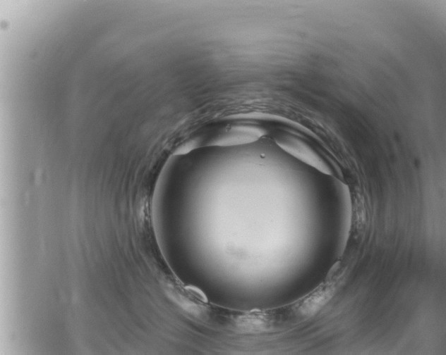 X0000065260574200602211253