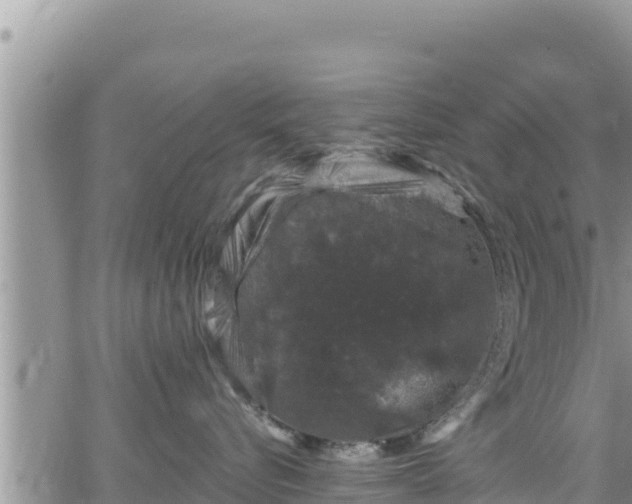 X0000065260576200602211253