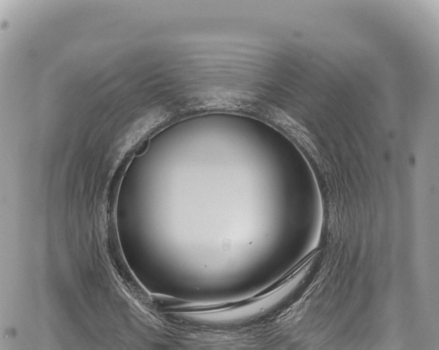 X0000065260578200602211252