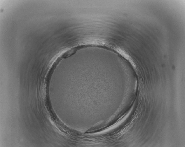 X0000065260580200602211252