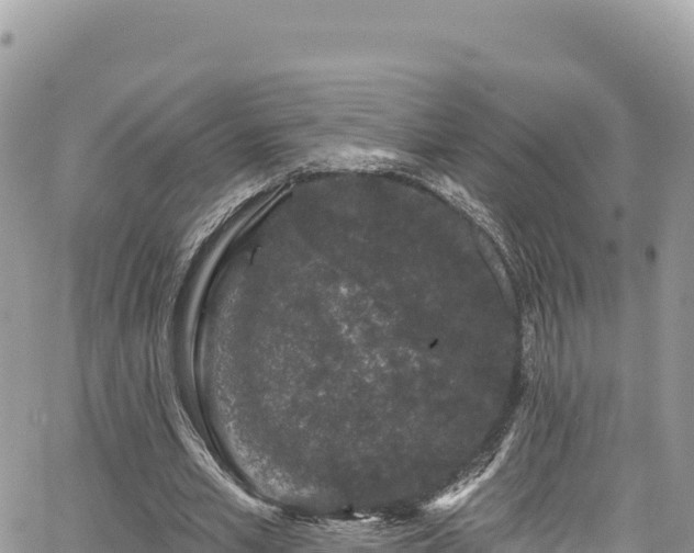 X0000065260581200602211252