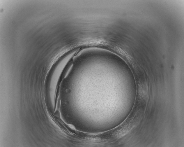 X0000065260582200602211252