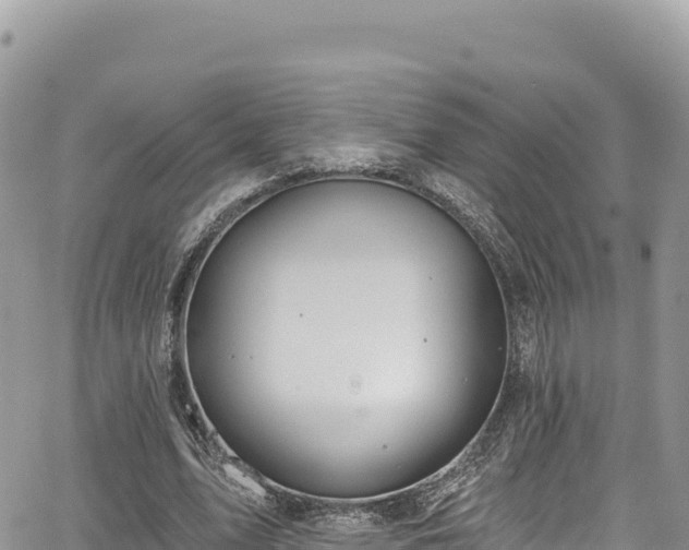 X0000065260583200602211252