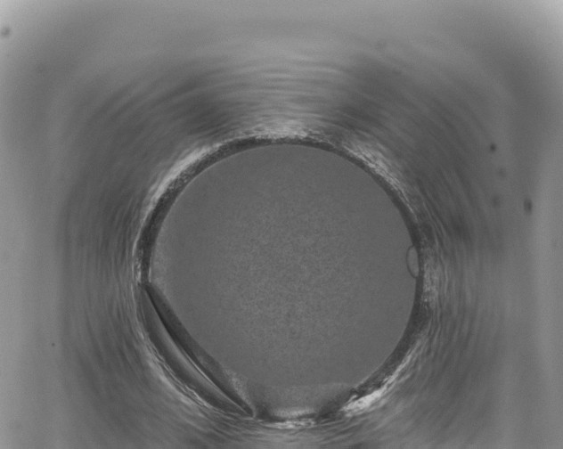 X0000065260584200602211252