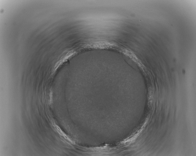 X0000065260585200602211252