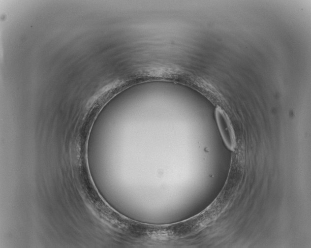 X0000065260587200602211252