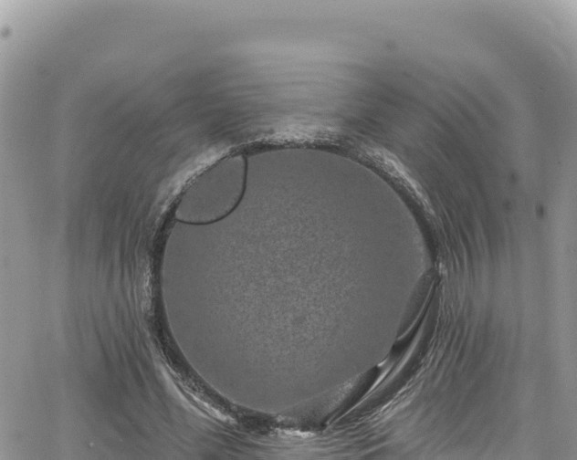 X0000065260588200602211252