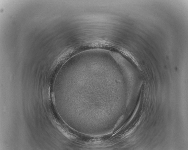 X0000065260589200602211252