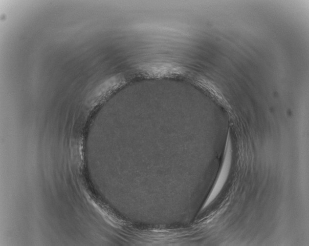 X0000065260590200602211252