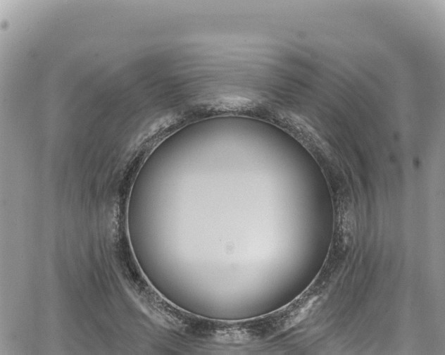 X0000065260591200602211252