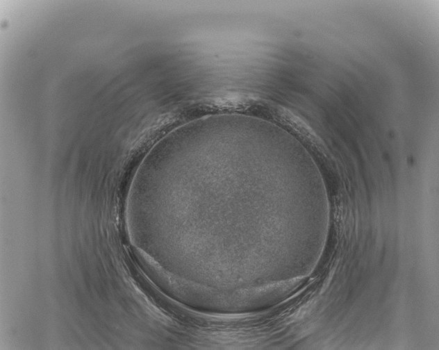 X0000065260593200602211252