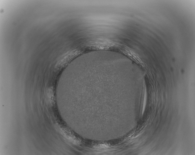 X0000065260594200602211252